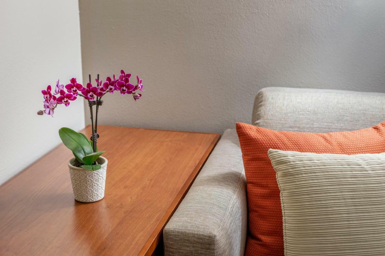 Hyatt Place Dallas/North Arlington/Grand Prairie Eksteriør billede